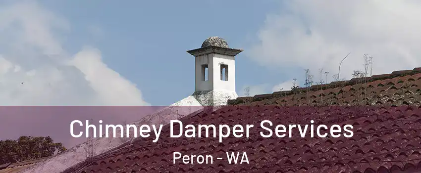 Chimney Damper Services Peron - WA