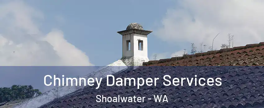 Chimney Damper Services Shoalwater - WA