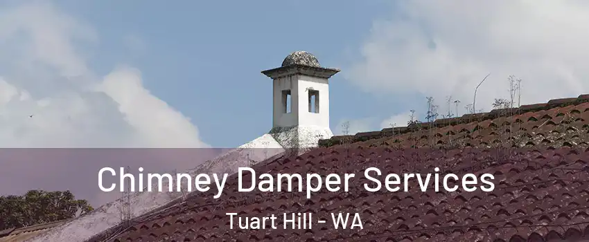 Chimney Damper Services Tuart Hill - WA