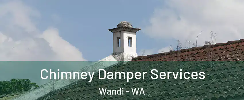 Chimney Damper Services Wandi - WA