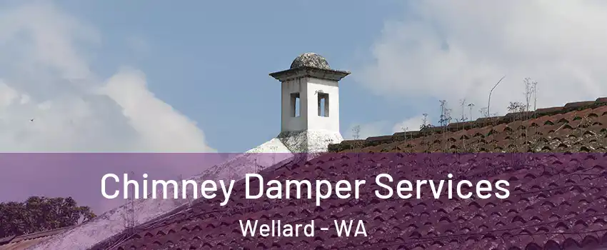 Chimney Damper Services Wellard - WA