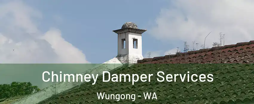 Chimney Damper Services Wungong - WA