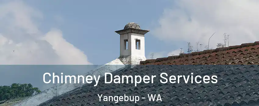 Chimney Damper Services Yangebup - WA