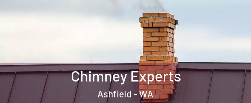 Chimney Experts Ashfield - WA