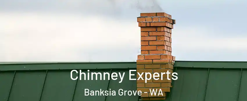 Chimney Experts Banksia Grove - WA