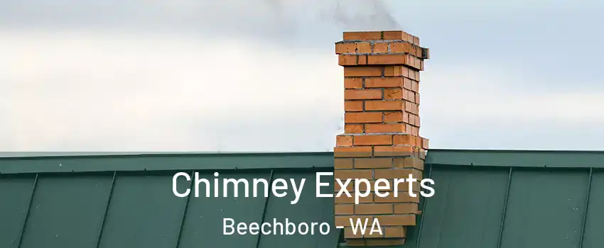 Chimney Experts Beechboro - WA
