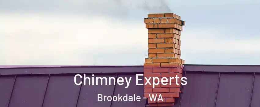 Chimney Experts Brookdale - WA