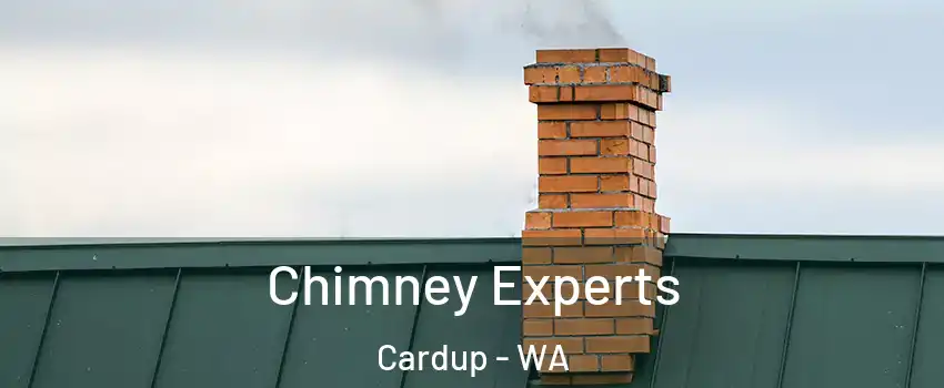 Chimney Experts Cardup - WA