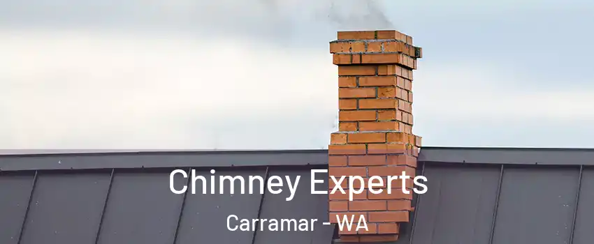  Chimney Experts Carramar - WA