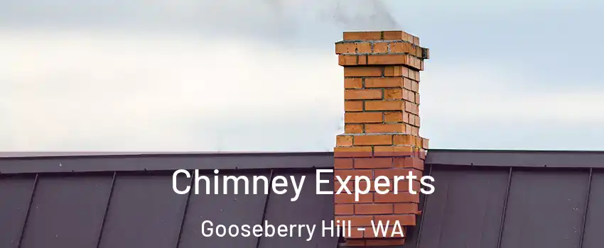 Chimney Experts Gooseberry Hill - WA