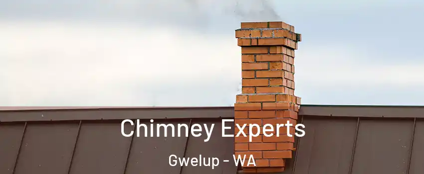 Chimney Experts Gwelup - WA
