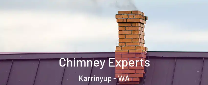 Chimney Experts Karrinyup - WA