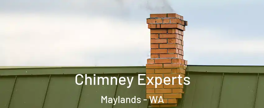 Chimney Experts Maylands - WA