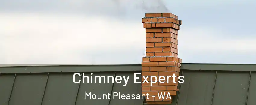 Chimney Experts Mount Pleasant - WA