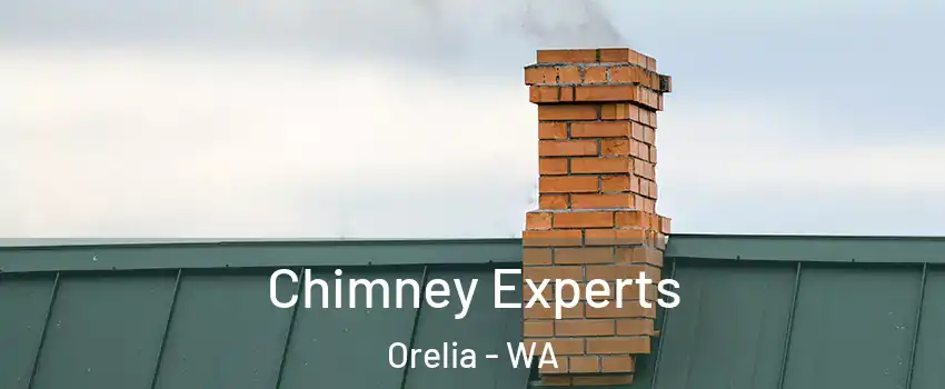 Chimney Experts Orelia - WA