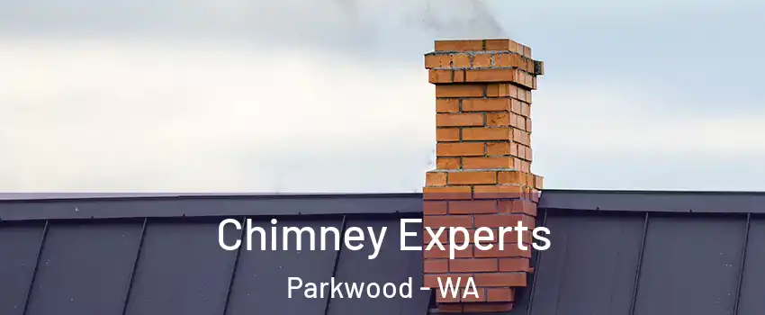 Chimney Experts Parkwood - WA
