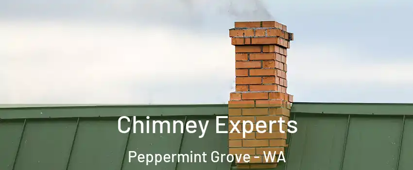 Chimney Experts Peppermint Grove - WA