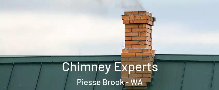 Chimney Experts Piesse Brook - WA