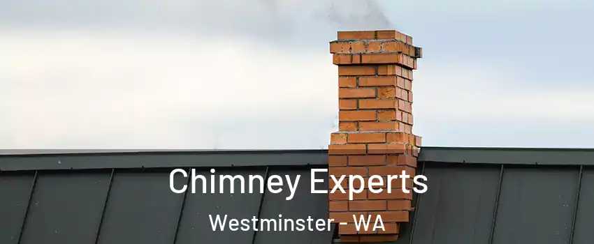 Chimney Experts Westminster - WA