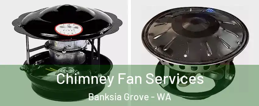 Chimney Fan Services Banksia Grove - WA