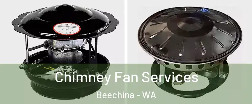 Chimney Fan Services Beechina - WA