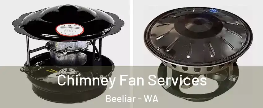 Chimney Fan Services Beeliar - WA