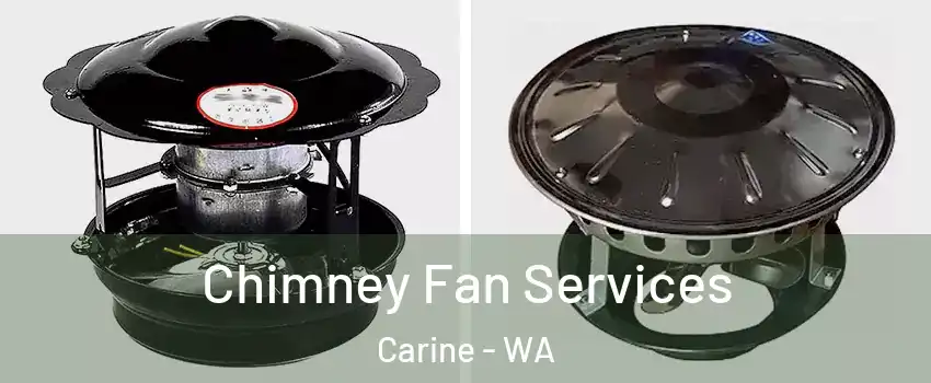 Chimney Fan Services Carine - WA