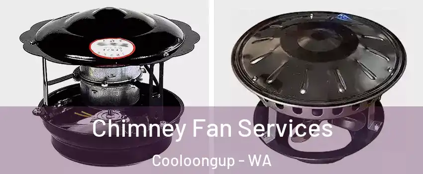 Chimney Fan Services Cooloongup - WA
