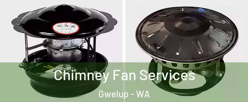 Chimney Fan Services Gwelup - WA