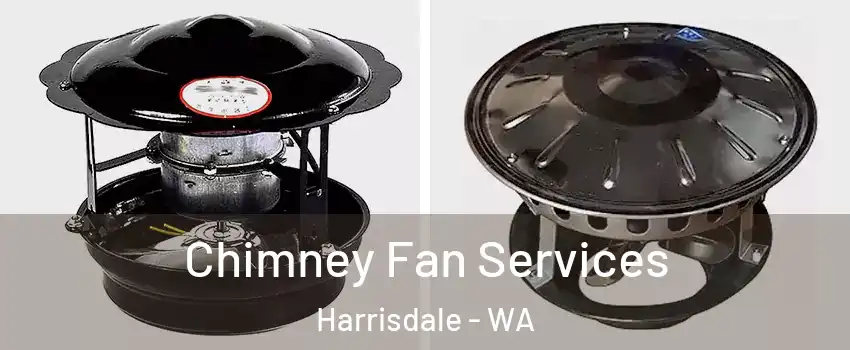 Chimney Fan Services Harrisdale - WA
