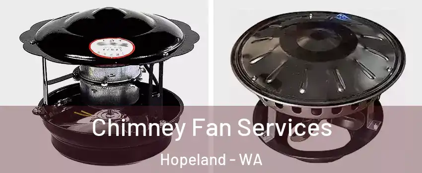 Chimney Fan Services Hopeland - WA