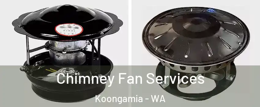 Chimney Fan Services Koongamia - WA