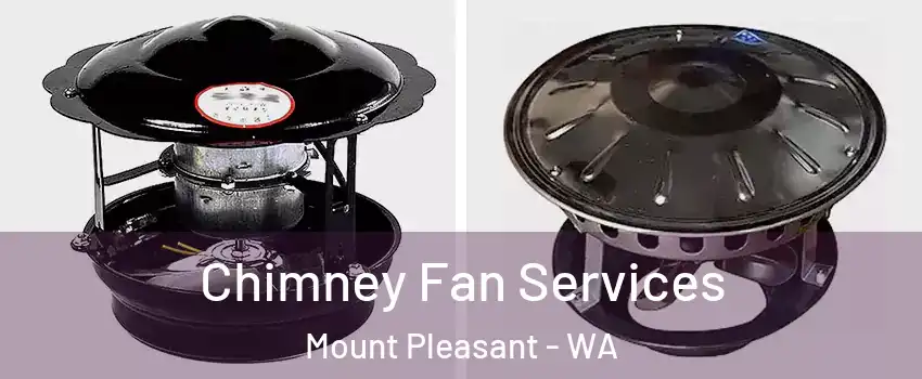 Chimney Fan Services Mount Pleasant - WA