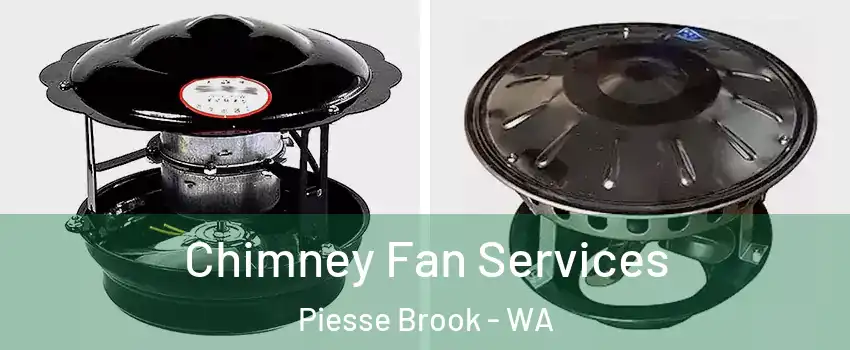 Chimney Fan Services Piesse Brook - WA