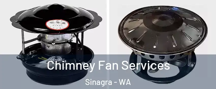 Chimney Fan Services Sinagra - WA