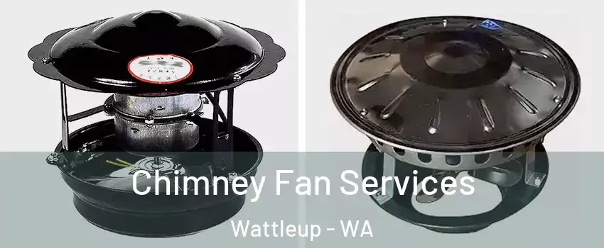 Chimney Fan Services Wattleup - WA