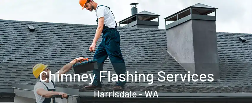Chimney Flashing Services Harrisdale - WA