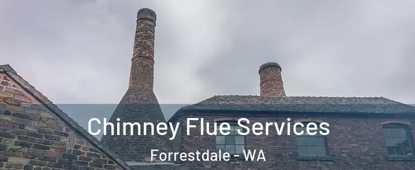 Chimney Flue Services Forrestdale - WA