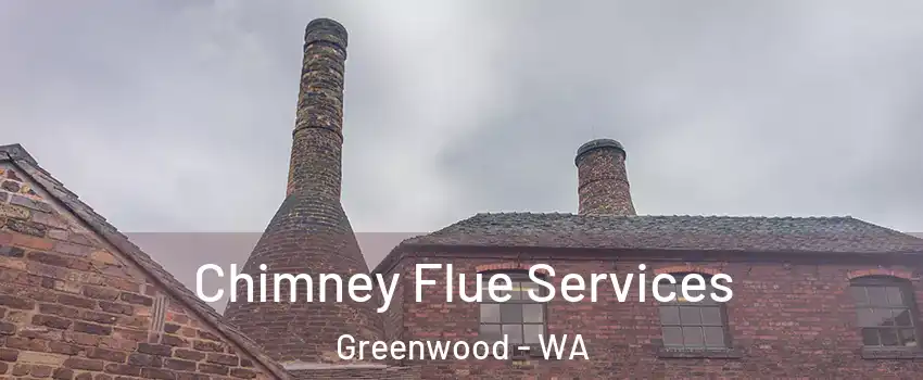 Chimney Flue Services Greenwood - WA