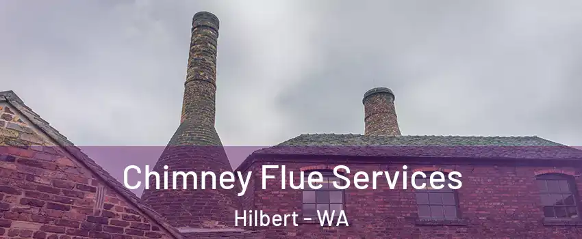 Chimney Flue Services Hilbert - WA