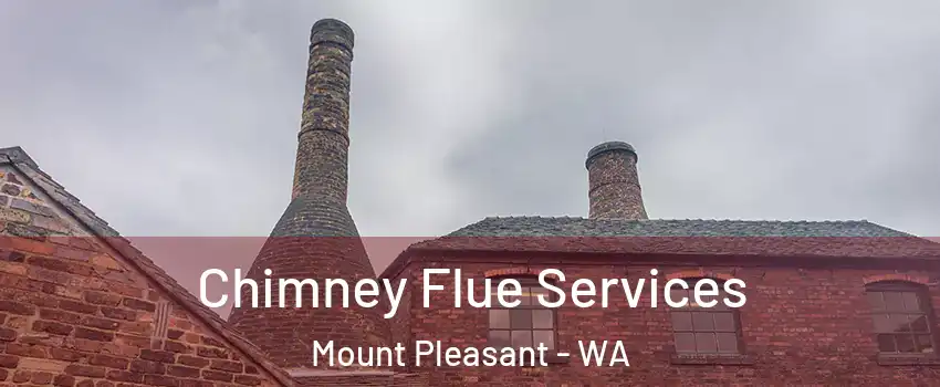 Chimney Flue Services Mount Pleasant - WA
