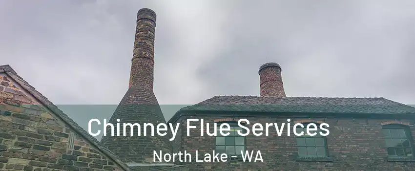 Chimney Flue Services North Lake - WA