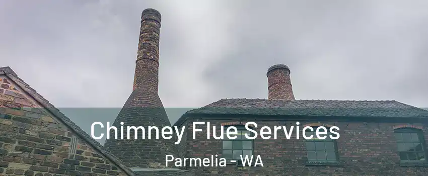 Chimney Flue Services Parmelia - WA