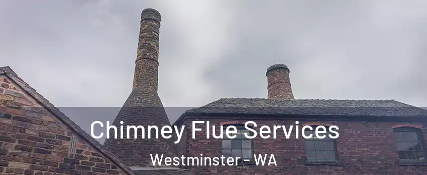 Chimney Flue Services Westminster - WA