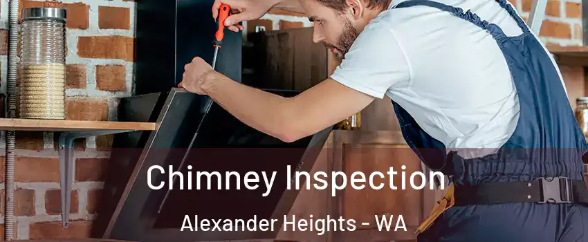 Chimney Inspection Alexander Heights - WA