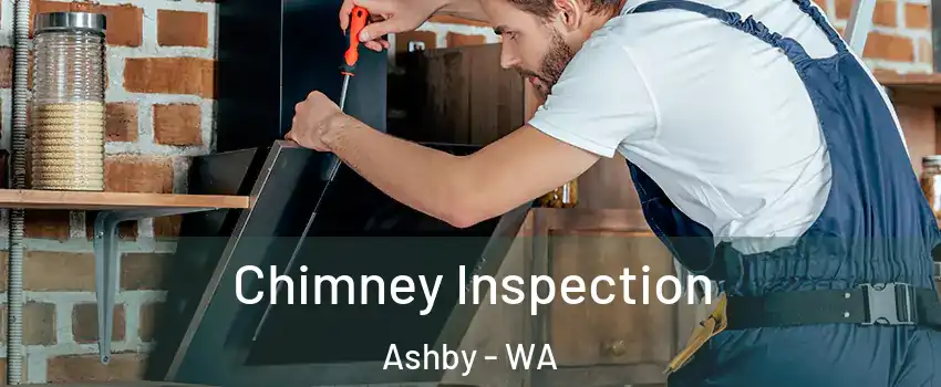 Chimney Inspection Ashby - WA