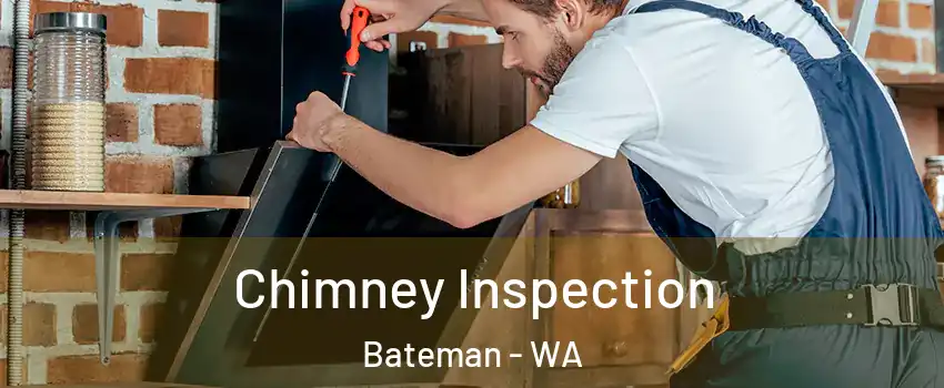 Chimney Inspection Bateman - WA