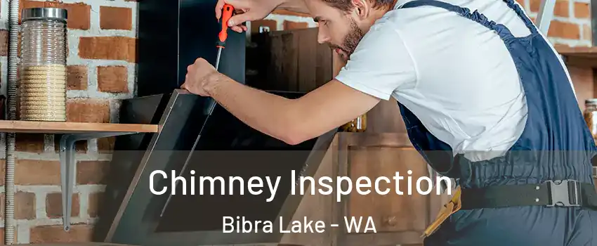 Chimney Inspection Bibra Lake - WA
