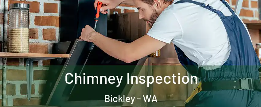 Chimney Inspection Bickley - WA