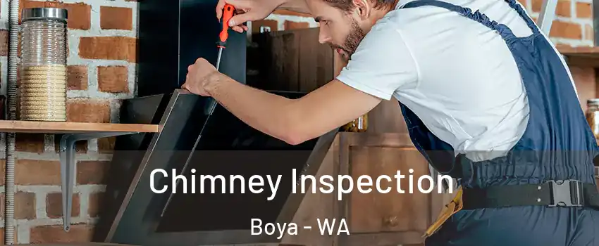 Chimney Inspection Boya - WA